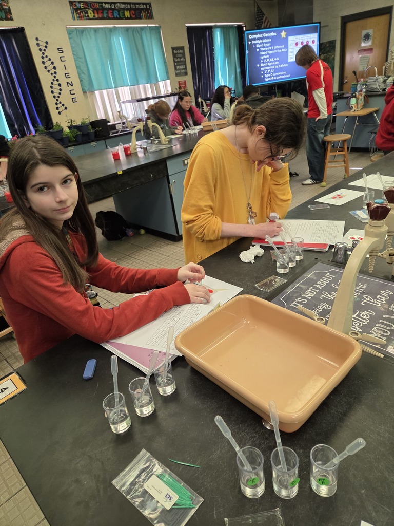 Dr. Wells’s Pre-IB/AICE Biology students brought genetics to life during yesterday’s lab by solving a hands-on “medical mystery.” Working in small groups, students used forensic blood typing to test samples and identify ABO and Rh phenotypes, applying their understanding of multiple alleles in a real-world context. This engaging lab highlighted collaboration, critical thinking, and mastery of key genetics concepts.