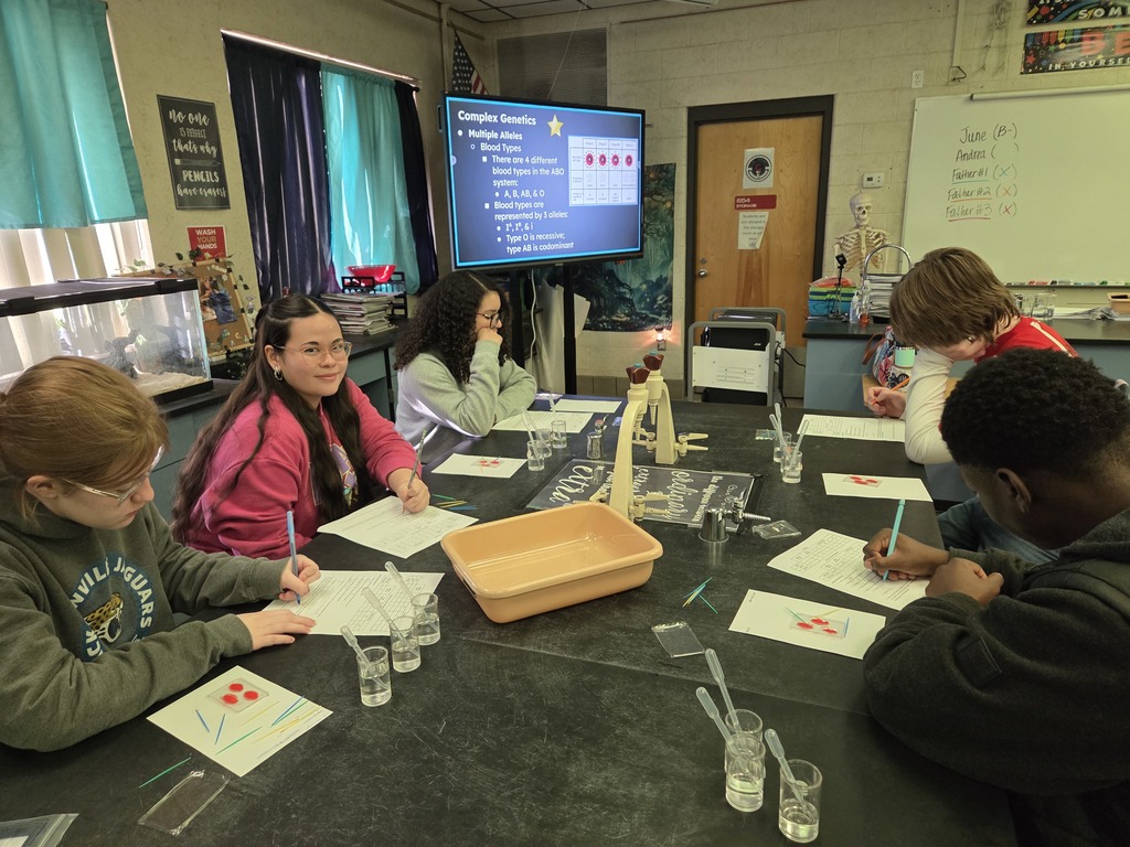 Dr. Wells’s Pre-IB/AICE Biology students brought genetics to life during yesterday’s lab by solving a hands-on “medical mystery.” Working in small groups, students used forensic blood typing to test samples and identify ABO and Rh phenotypes, applying their understanding of multiple alleles in a real-world context. This engaging lab highlighted collaboration, critical thinking, and mastery of key genetics concepts.