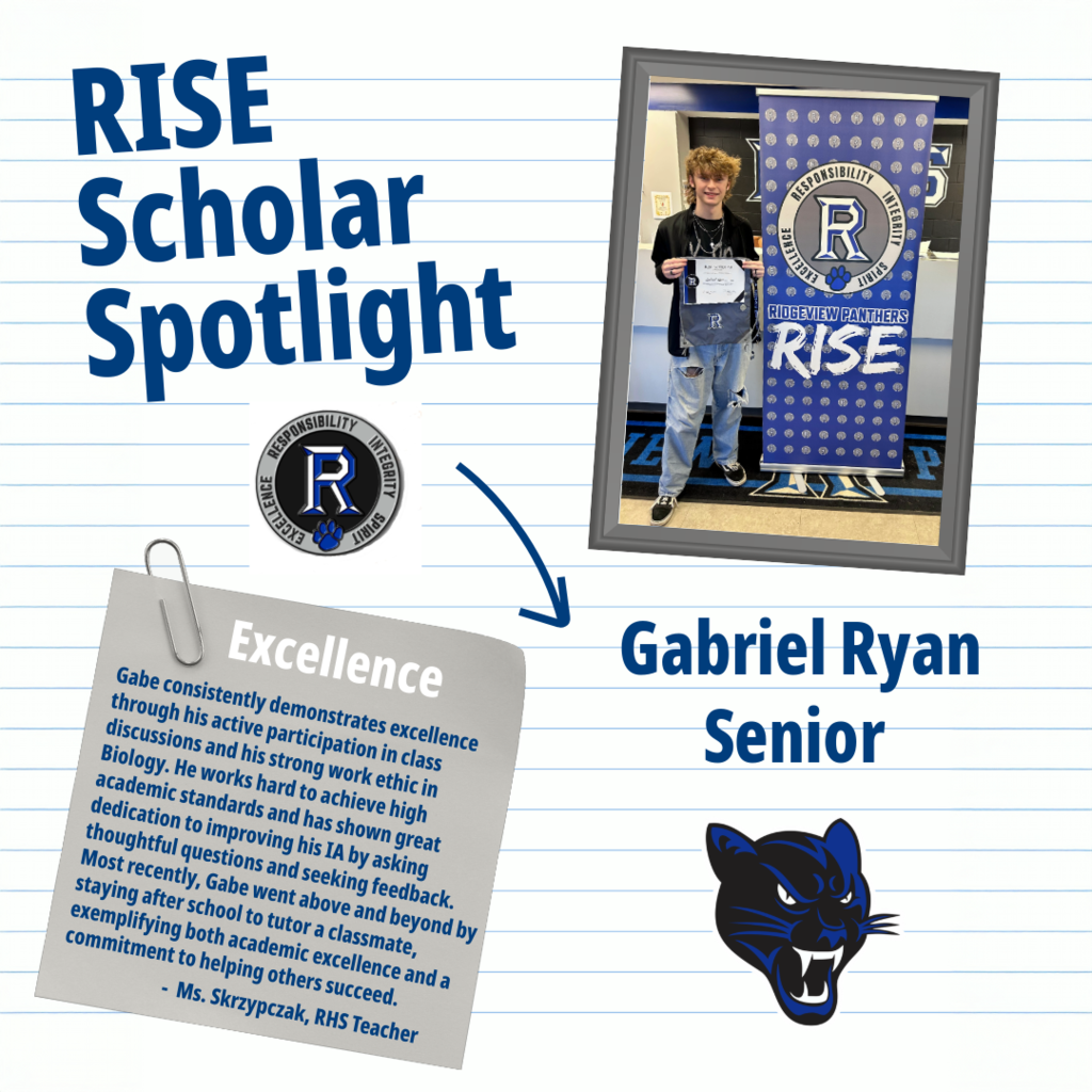 RISE Scholar