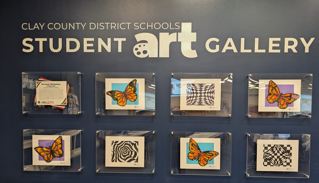 Art Display TTC 2025