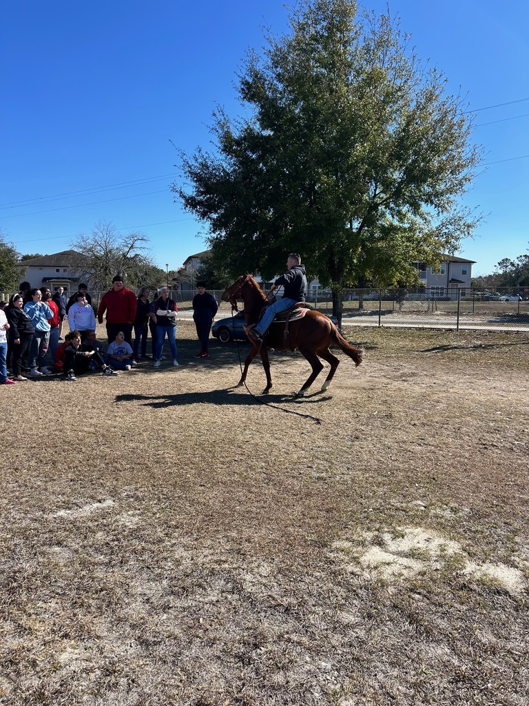 Students in Ms. Ryan’s class experienced psychology in action as they interacted with a horse and trainer to explore classical and operant conditioning. Through this hands-on learning, students observed how classical conditioning uses cues, such as a clicking sound paired with pressure, to help an animal learn a behavior. In contrast, operant conditioning relies on rewards and consequences to shape actions over time. This real-world experience connected to our AICE Psychology curriculum, including the Fagan elephant study, and helped students see how learning theories apply beyond the classroom in meaningful and memorable ways.