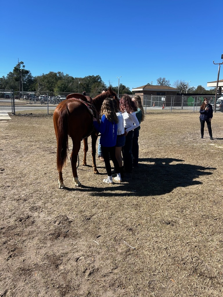 Students in Ms. Ryan’s class experienced psychology in action as they interacted with a horse and trainer to explore classical and operant conditioning. Through this hands-on learning, students observed how classical conditioning uses cues, such as a clicking sound paired with pressure, to help an animal learn a behavior. In contrast, operant conditioning relies on rewards and consequences to shape actions over time. This real-world experience connected to our AICE Psychology curriculum, including the Fagan elephant study, and helped students see how learning theories apply beyond the classroom in meaningful and memorable ways.