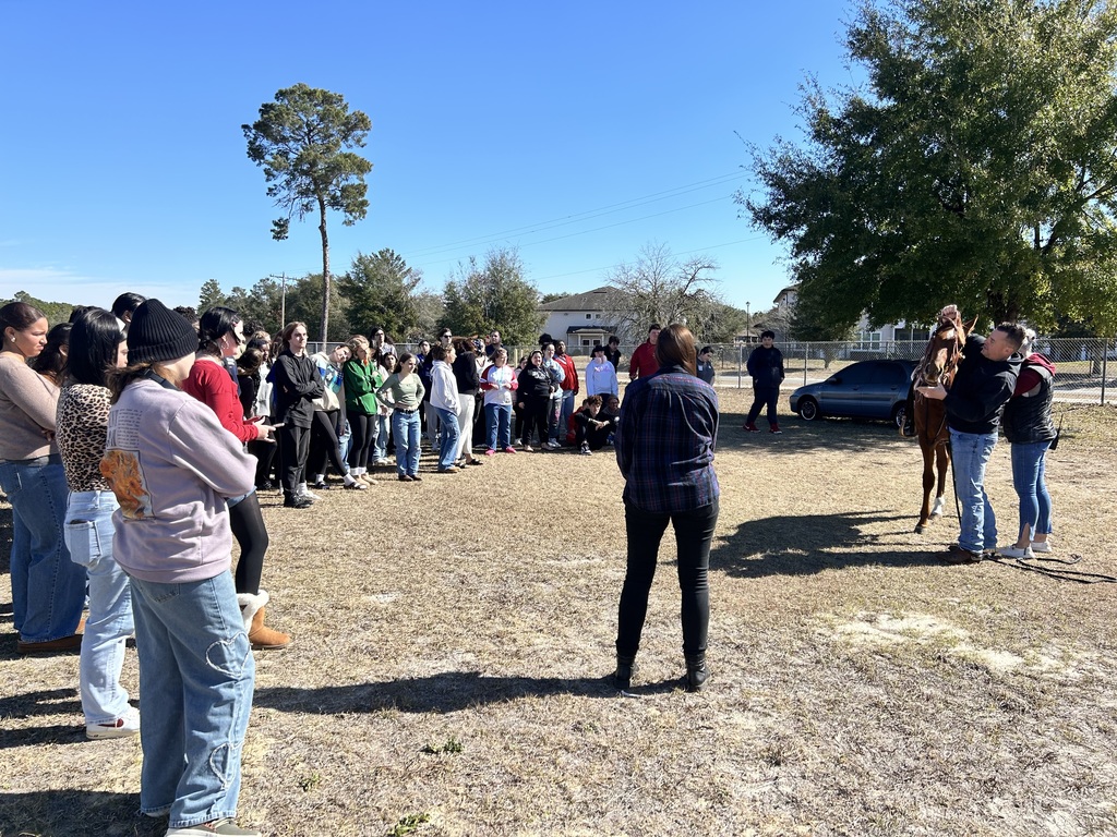 Students in Ms. Ryan’s class experienced psychology in action as they interacted with a horse and trainer to explore classical and operant conditioning. Through this hands-on learning, students observed how classical conditioning uses cues, such as a clicking sound paired with pressure, to help an animal learn a behavior. In contrast, operant conditioning relies on rewards and consequences to shape actions over time. This real-world experience connected to our AICE Psychology curriculum, including the Fagan elephant study, and helped students see how learning theories apply beyond the classroom in meaningful and memorable ways.