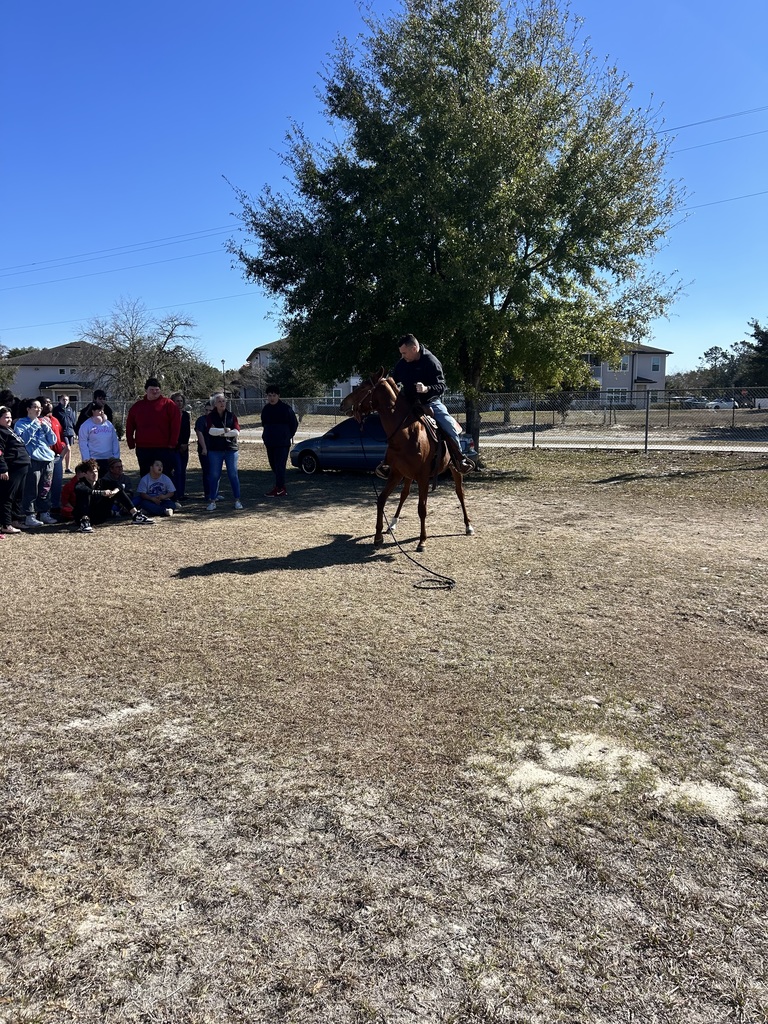 Students in Ms. Ryan’s class experienced psychology in action as they interacted with a horse and trainer to explore classical and operant conditioning. Through this hands-on learning, students observed how classical conditioning uses cues, such as a clicking sound paired with pressure, to help an animal learn a behavior. In contrast, operant conditioning relies on rewards and consequences to shape actions over time. This real-world experience connected to our AICE Psychology curriculum, including the Fagan elephant study, and helped students see how learning theories apply beyond the classroom in meaningful and memorable ways.