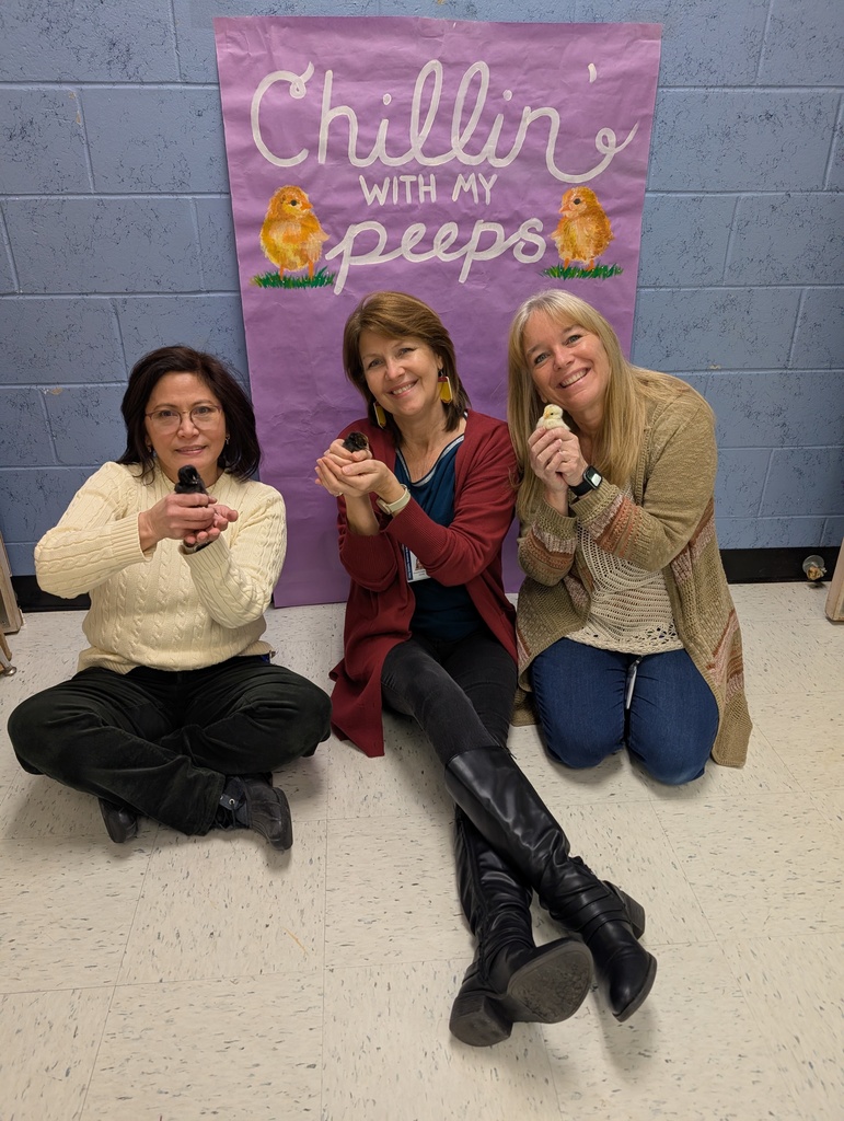 2nd Grade Chick 2026