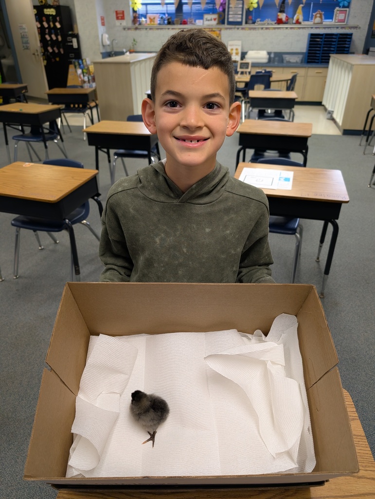 2nd Grade Chick 2026