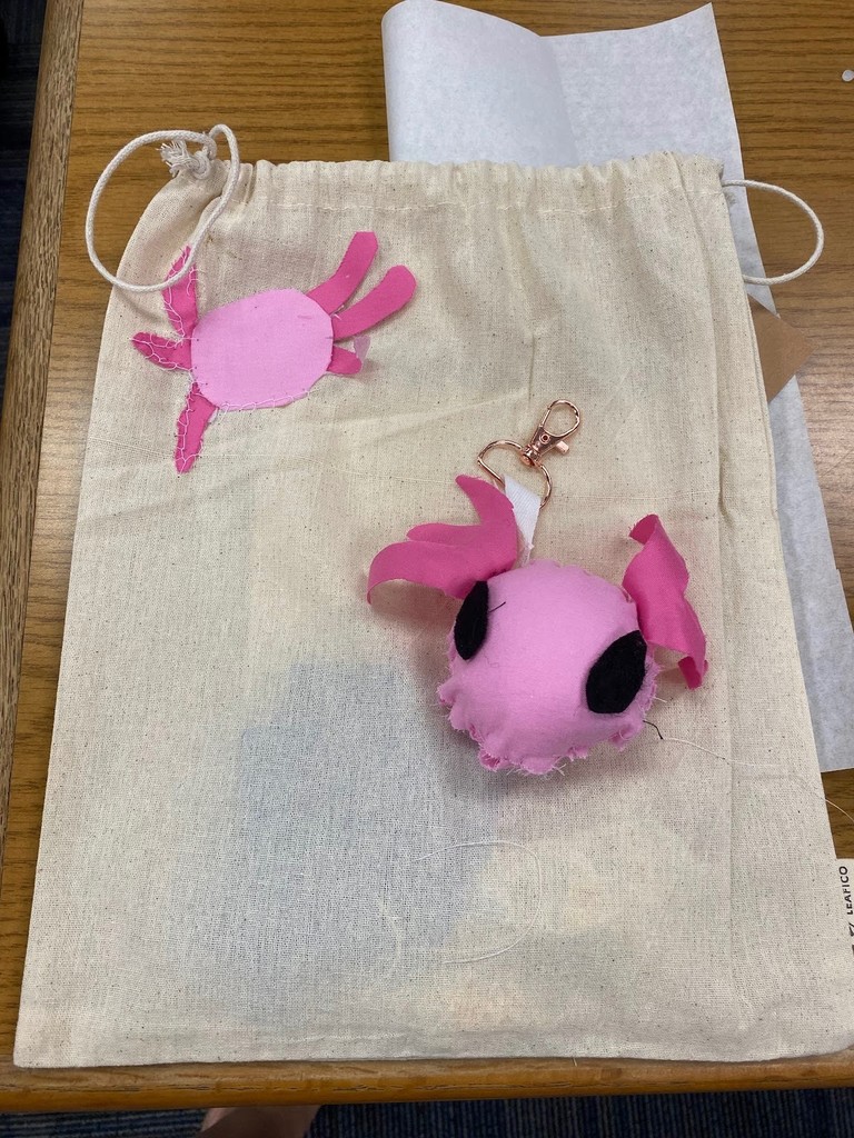 sewing project from sewing camp