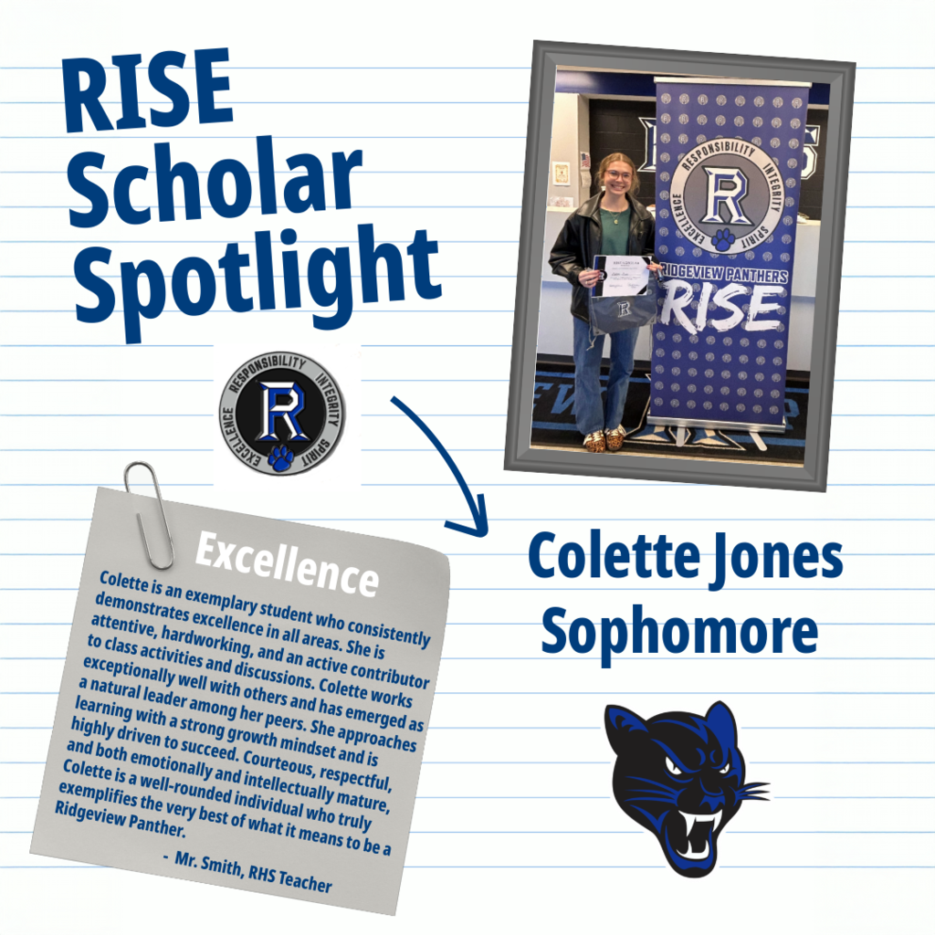 RISE Scholar