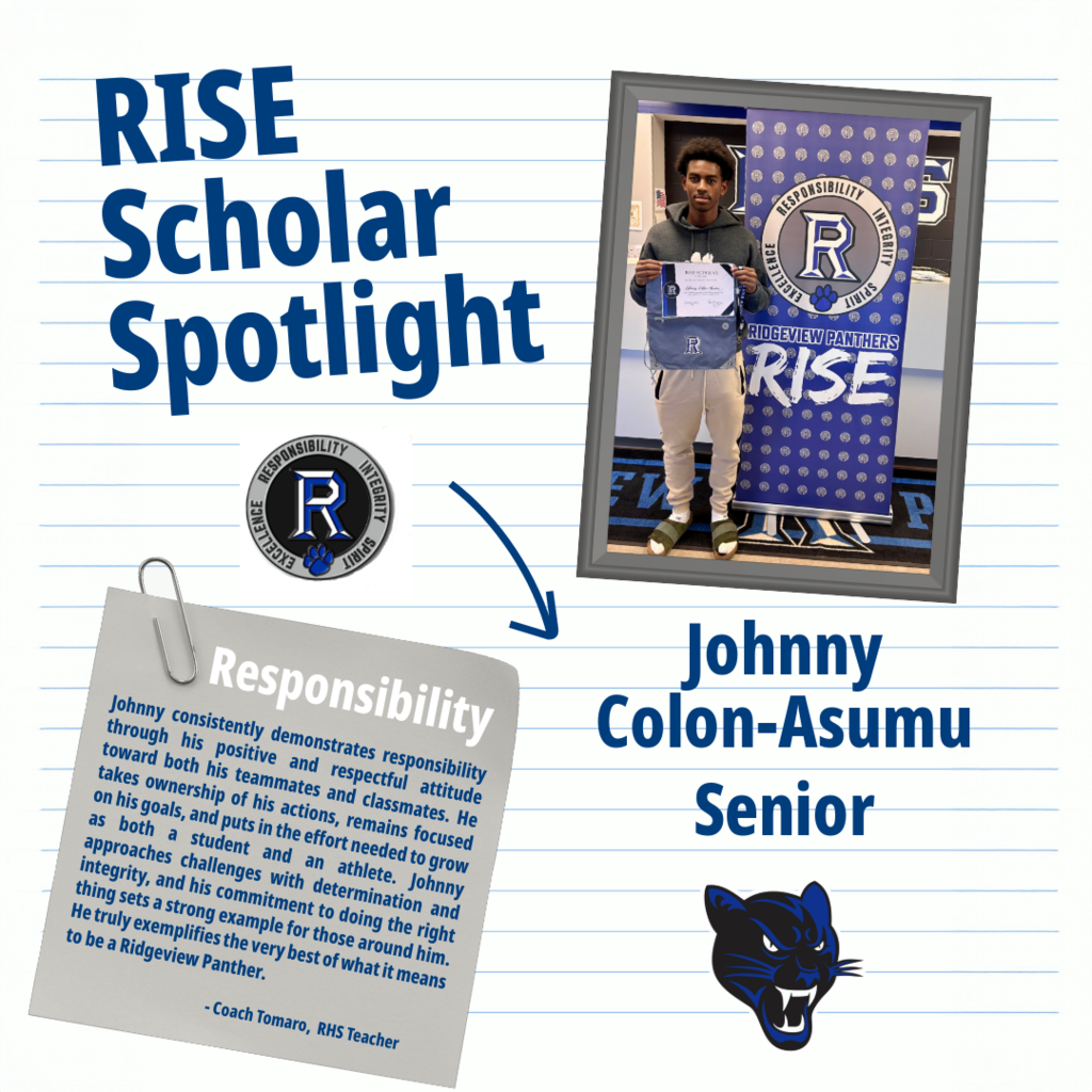 RISE Scholar