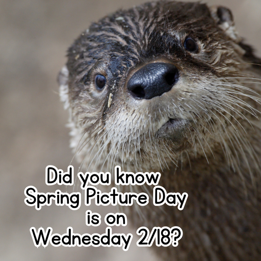 family reminders - picture day