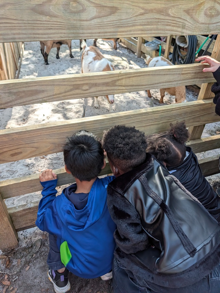 Ist Grade Field Trip Tree Hill Nature Center