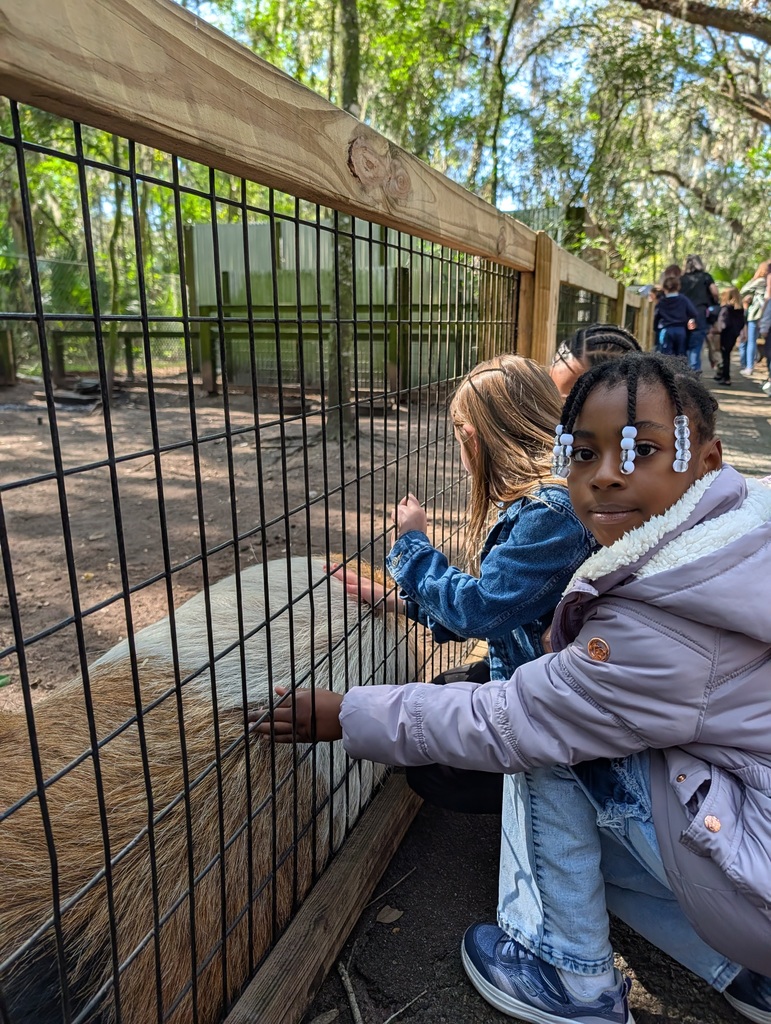 Ist Grade Field Trip Tree Hill Nature Center