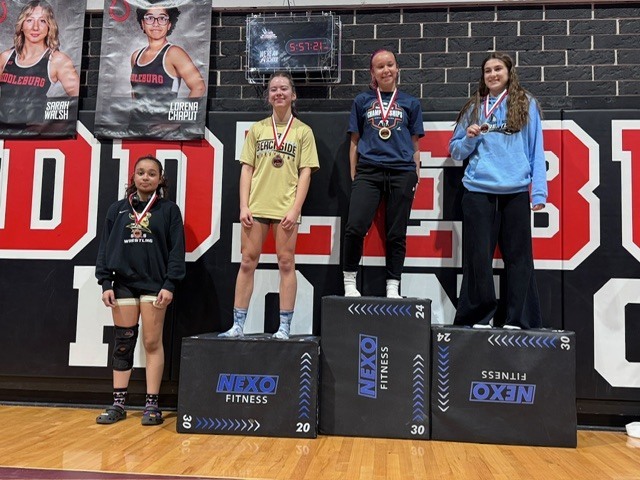 Girls Wrestling Districts