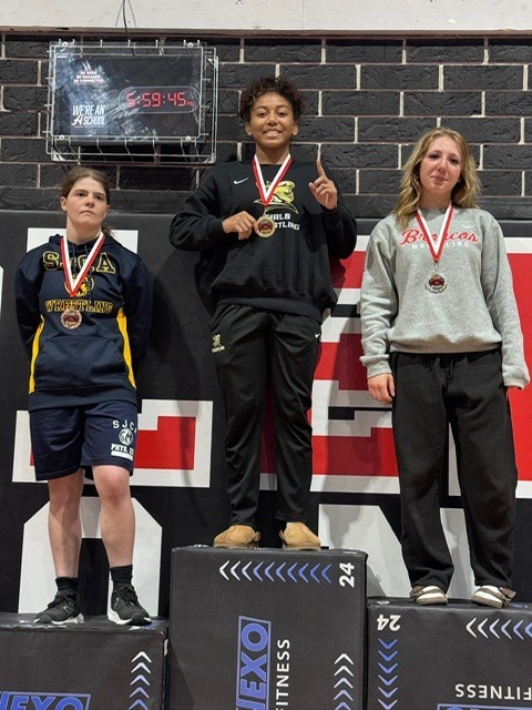 Girls Wrestling Districts