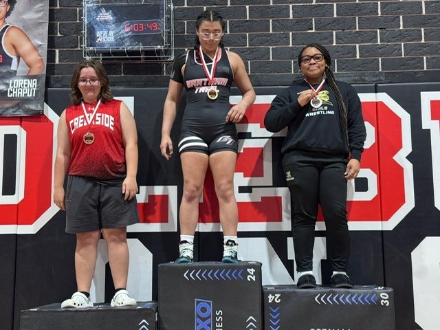 Girls Wrestling Districts