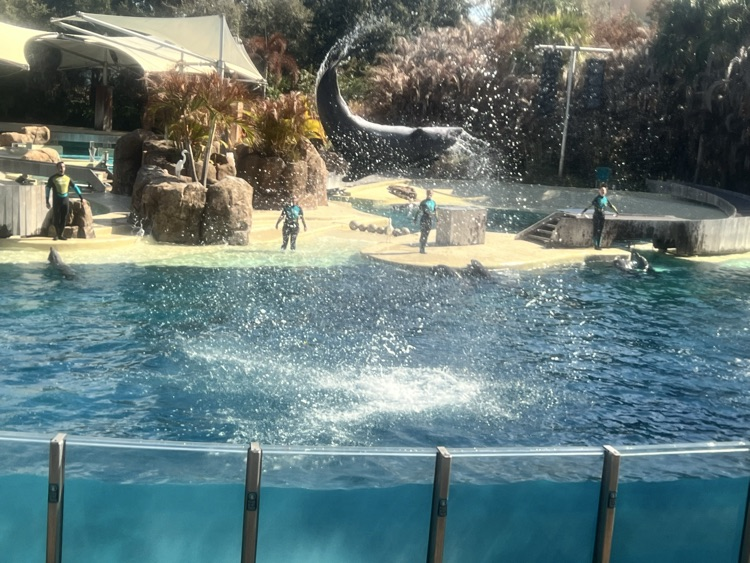 5th grade field trip photos