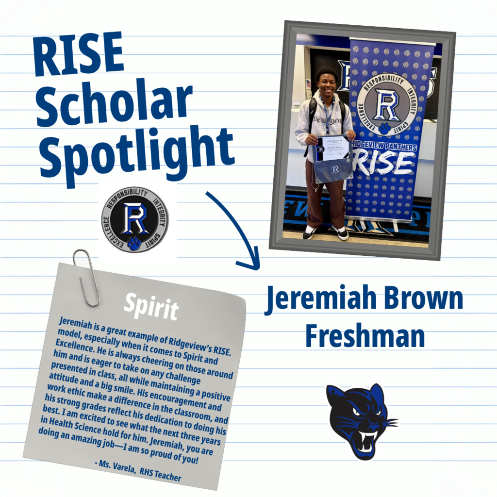 RISE Scholar 