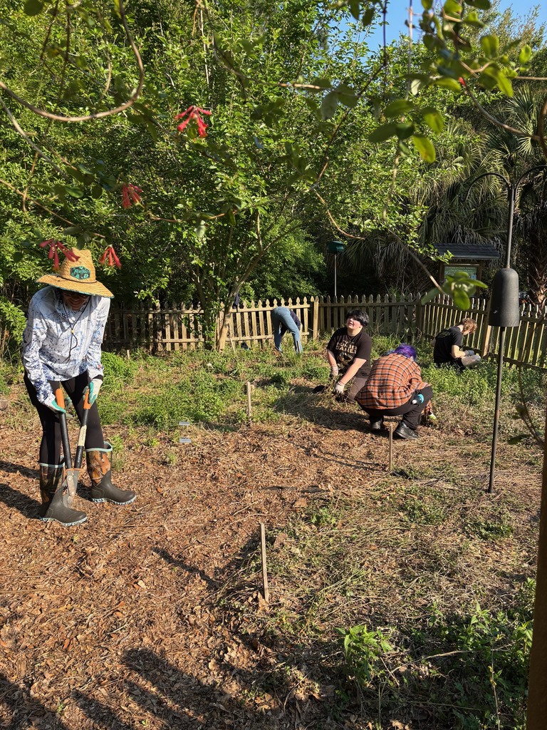  Our Earth Club members spent time giving back to our community by volunteering at Crosby Sanctuary last Saturday. Students worked together to care for the native plant garden by weeding and laying fresh mulch, helping preserve the space's natural beauty and health. They also cleaned and refilled bird feeders, supporting local wildlife and learning the importance of environmental stewardship. Experiences like this reflect our commitment to responsibility, service, and making a positive impact beyond our campus.