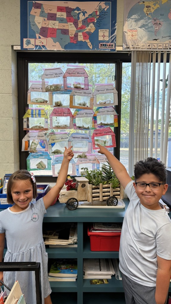 Life Cycle of a Plant 