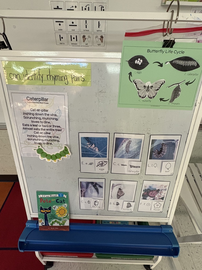 PreK Butterfly Learning
