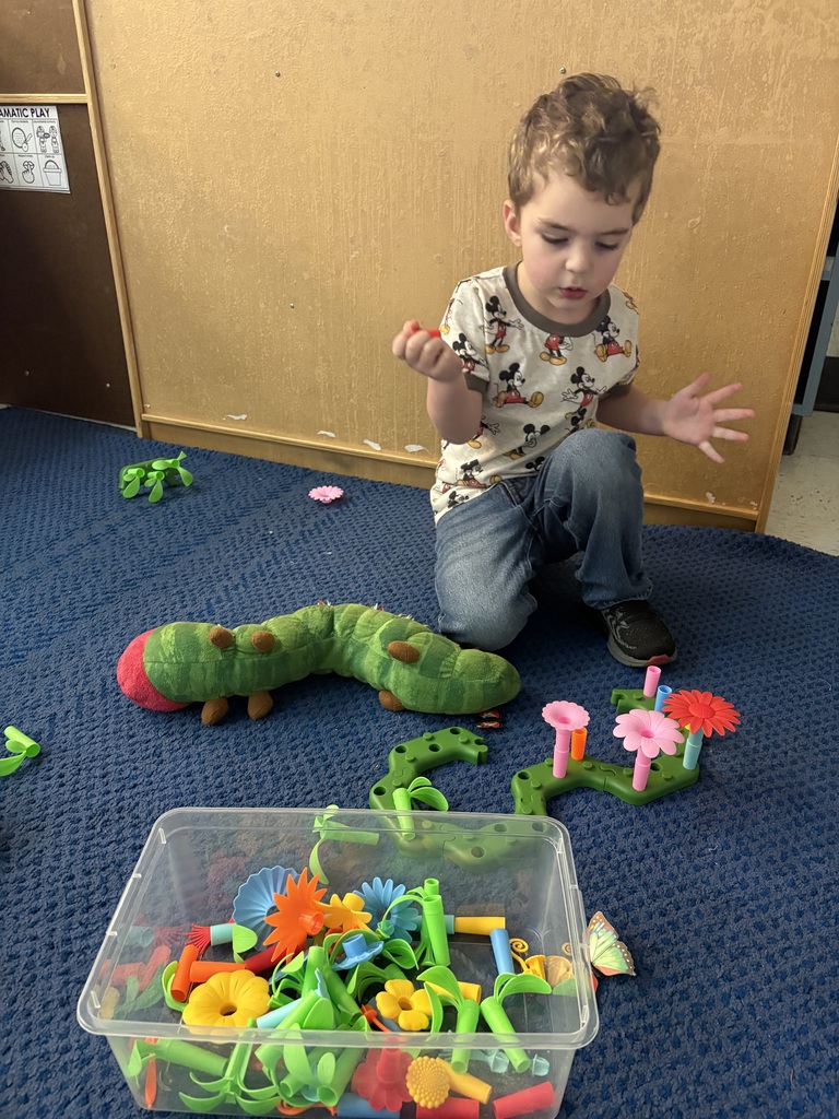 PreK Butterfly Learning