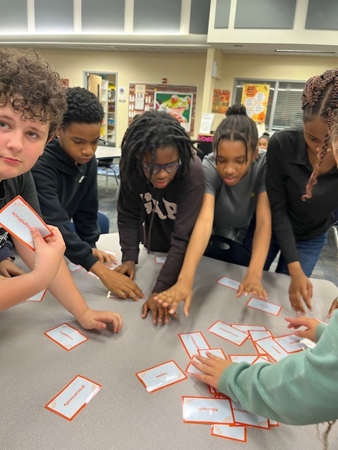 6th Grade Literacy Elective