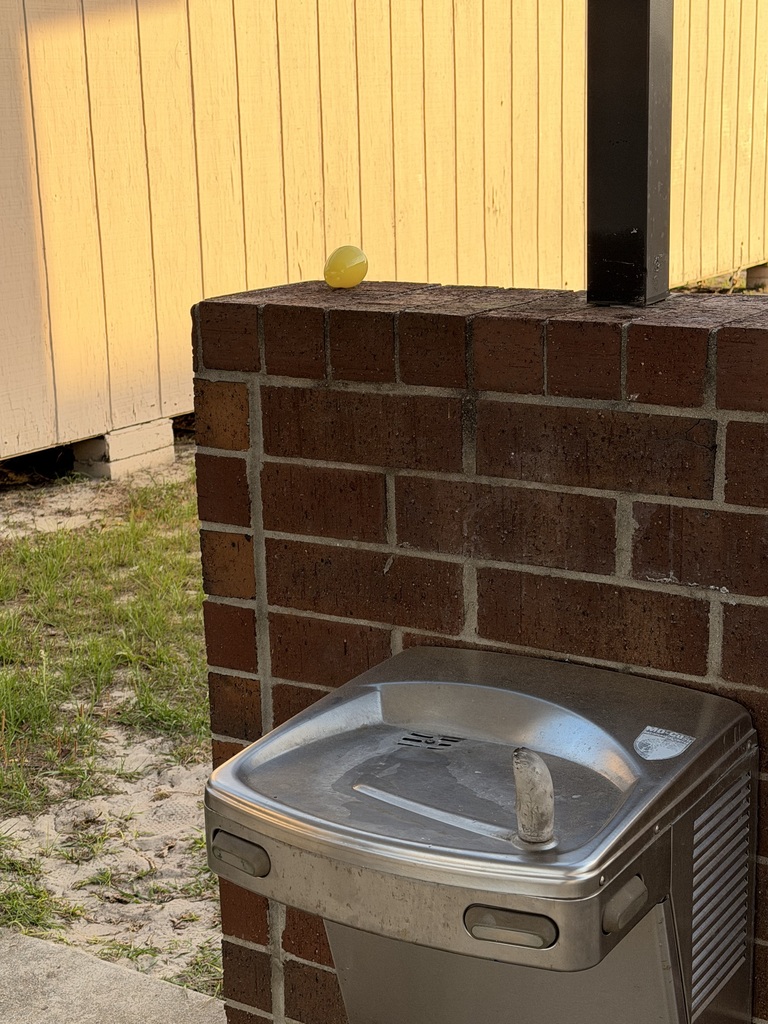 HOSA brought some fun to campus today during class change with a creative Easter Egg Hunt that combined excitement with learning. Students kept an eye out for colorful eggs hidden around campus, each filled with a health fact—and a few even included a sweet treat. The hunt also featured special golden eggs that could be turned in for a full-size candy bar. It was a great way to engage students while reinforcing important health knowledge, and we appreciate HOSA for organizing such a fun and meaningful activity for our campus.