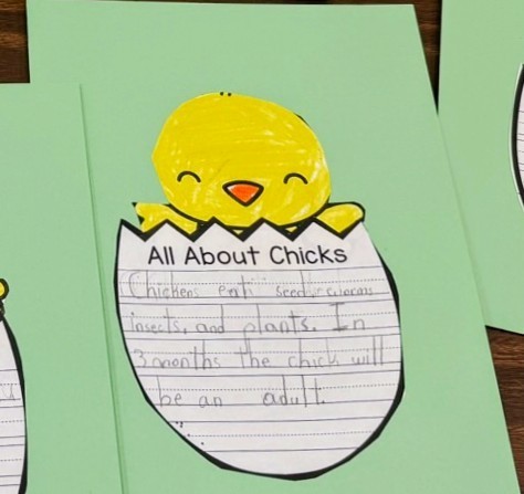 Gemini said 🐣 An Egg-stravaganza of Learning at Paterson!