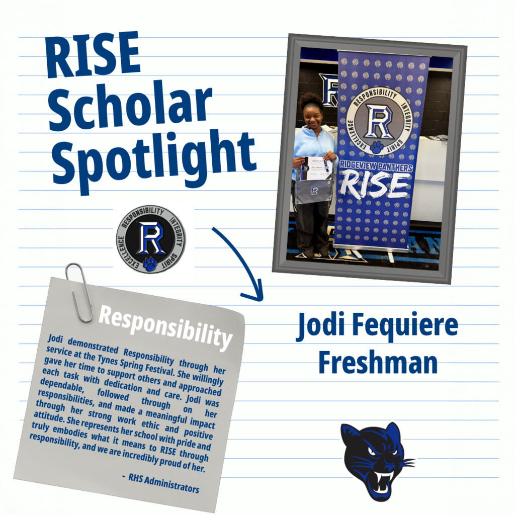 RISE Scholar 