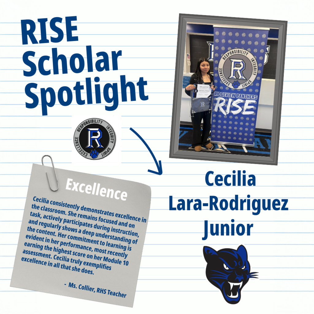 RISE Scholar