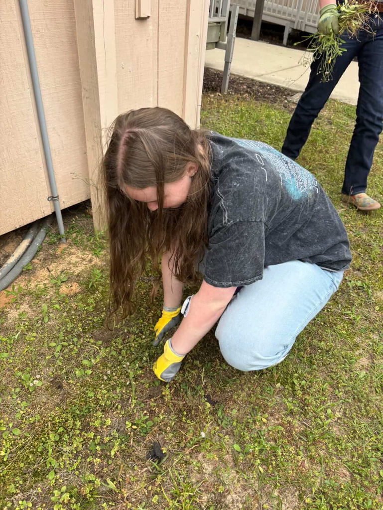 Some of our Senior Board members spent time giving back to their school by participating in a campus cleanup day, pulling weeds and helping keep Ridgeview looking its best. Their willingness to step up and serve reflects true Panther pride and leadership.  We are proud of these seniors for taking initiative and showing that leadership is not just about holding a title, but about making a difference. Thank you for helping keep our campus beautiful!