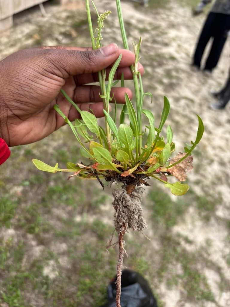 Some of our Senior Board members spent time giving back to their school by participating in a campus cleanup day, pulling weeds and helping keep Ridgeview looking its best. Their willingness to step up and serve reflects true Panther pride and leadership.  We are proud of these seniors for taking initiative and showing that leadership is not just about holding a title, but about making a difference. Thank you for helping keep our campus beautiful!