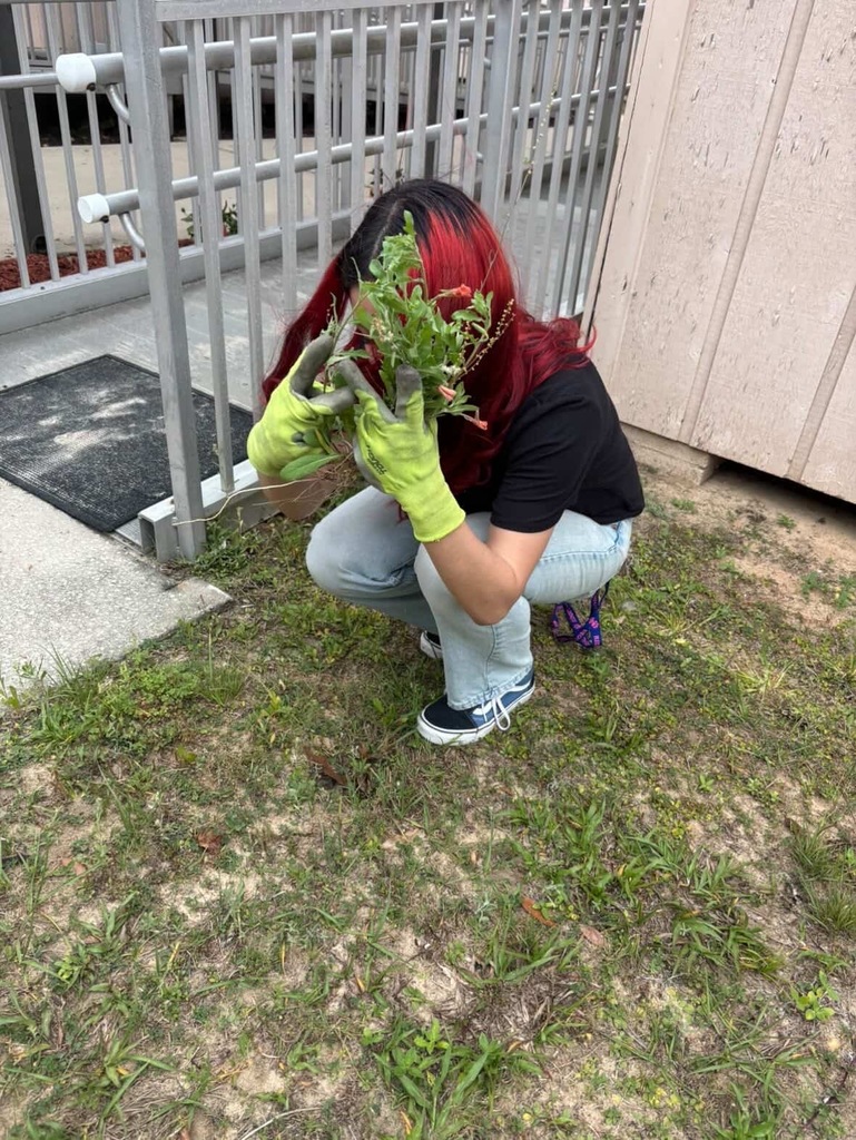 Some of our Senior Board members spent time giving back to their school by participating in a campus cleanup day, pulling weeds and helping keep Ridgeview looking its best. Their willingness to step up and serve reflects true Panther pride and leadership.  We are proud of these seniors for taking initiative and showing that leadership is not just about holding a title, but about making a difference. Thank you for helping keep our campus beautiful!