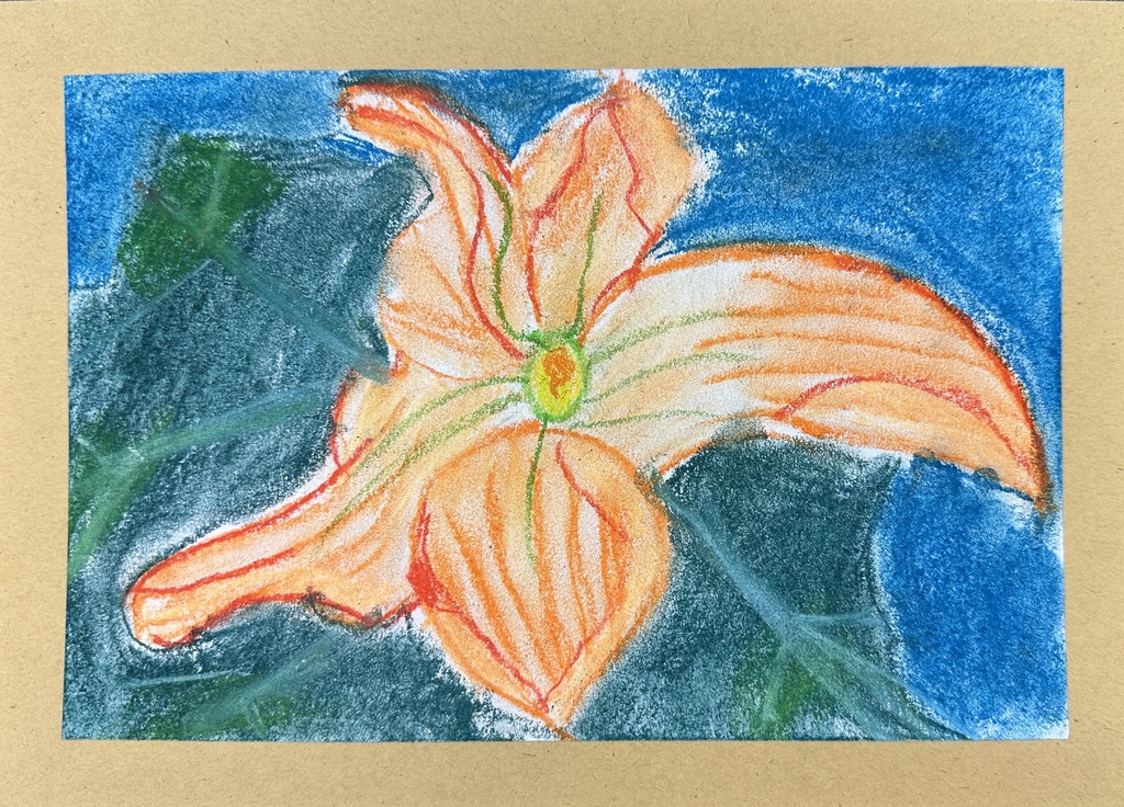pastel flower