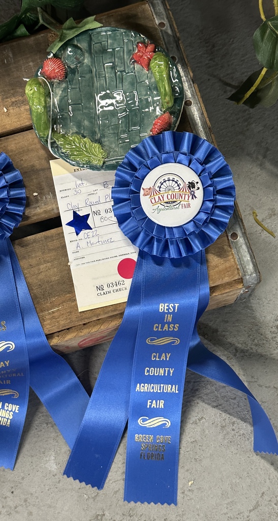 student art at county fair