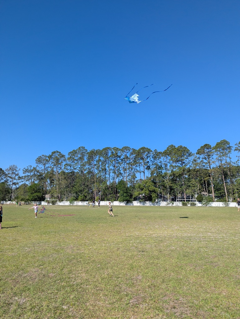 kite day