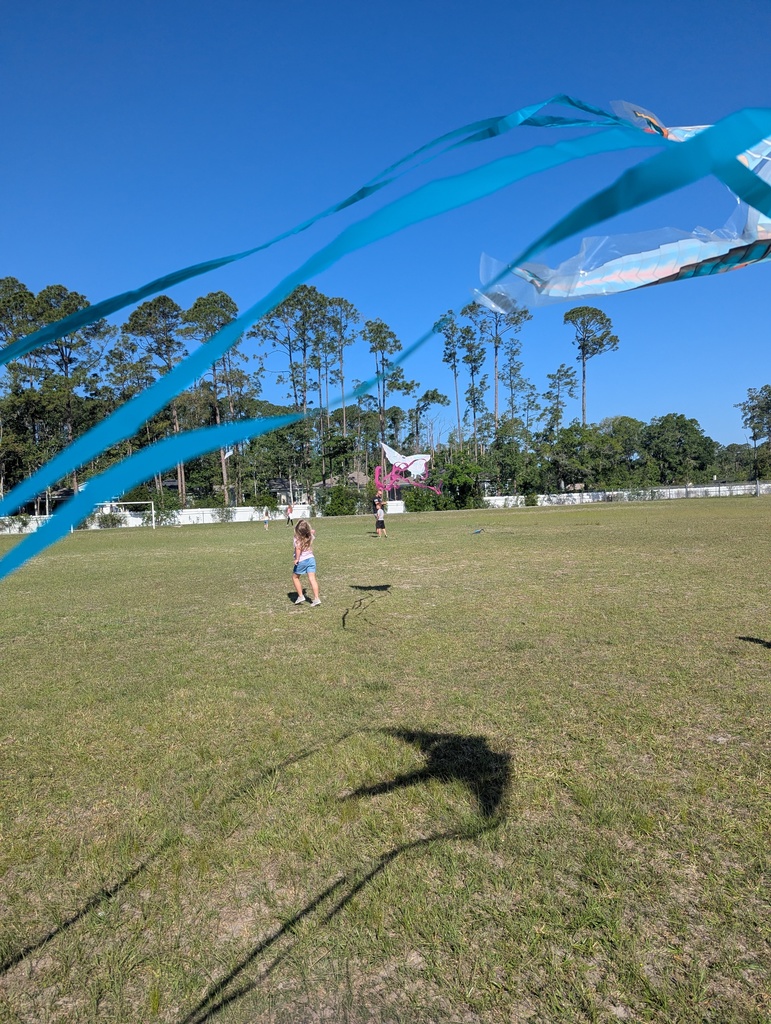 kite day