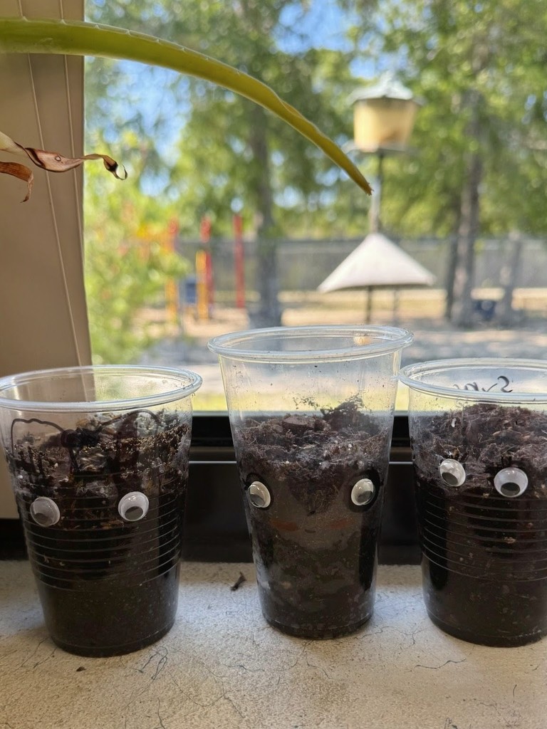 "Reduce, Reuse, and get REALLY cute! 🌎✨ Mrs. McCarty’s class celebrated Earth Day by diving into the world of recycling and crafting their very own Earth Day Buddies! Who knew saving the planet could look this good? ♻️🤖"