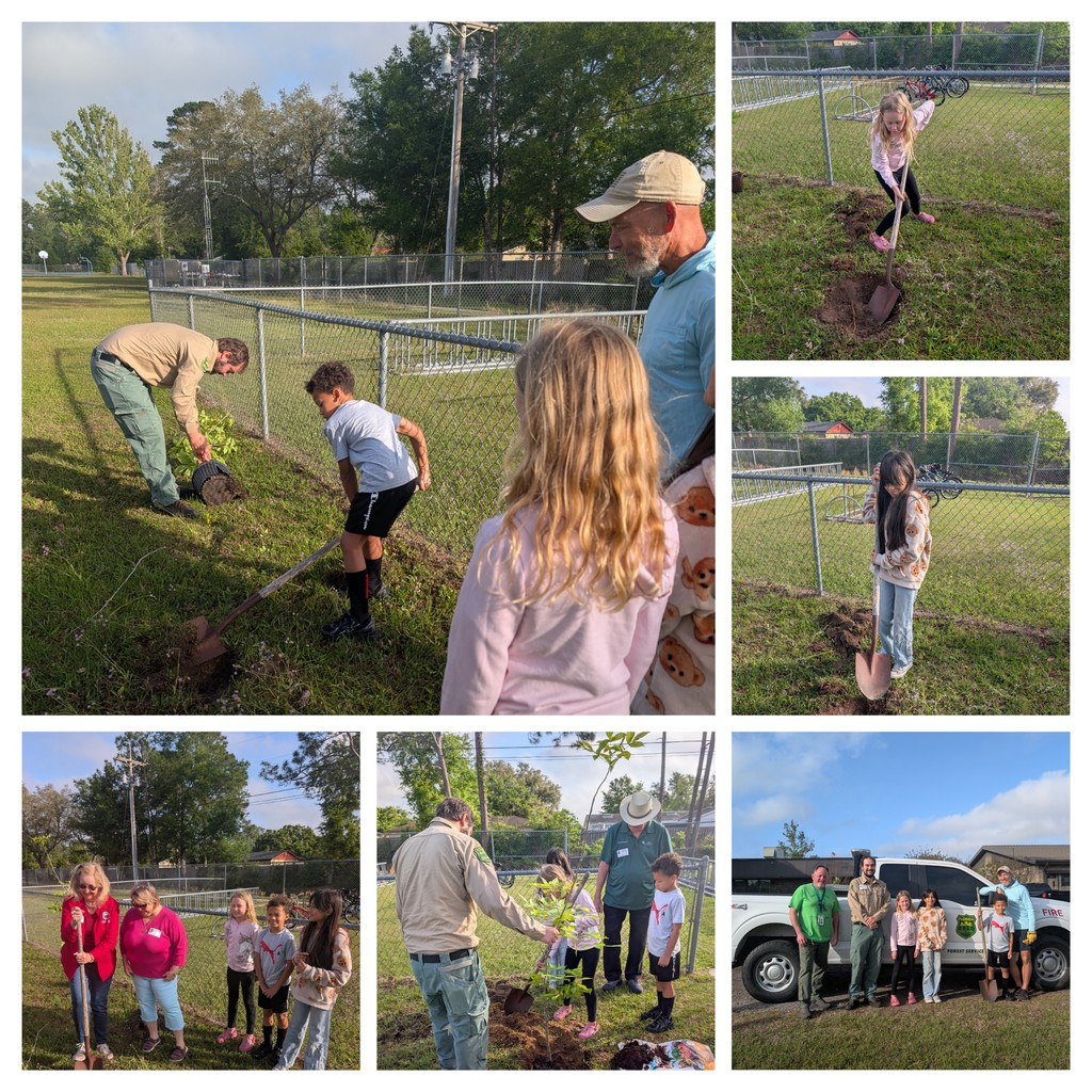 Tree Planting 2026