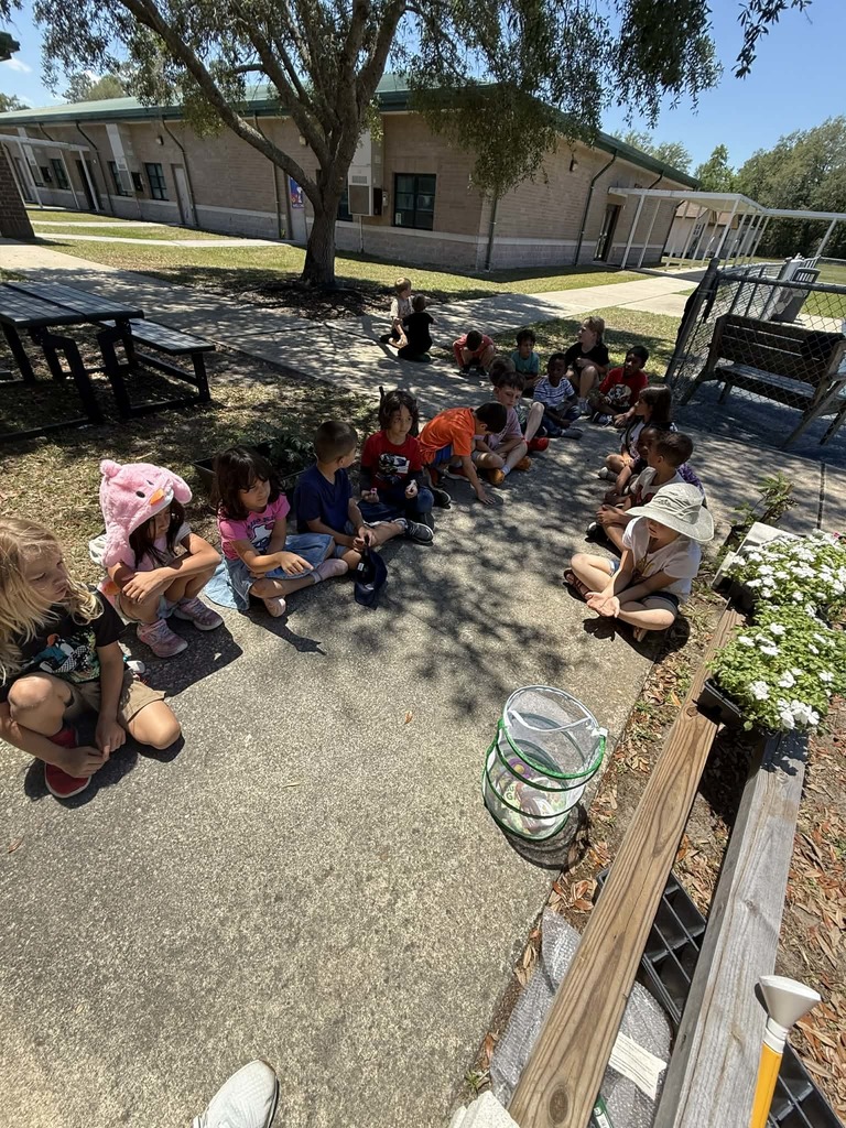 🦋🐛Spring is Here!🐛🦋 We had a fun Butterfly Release this week with 1st grade!