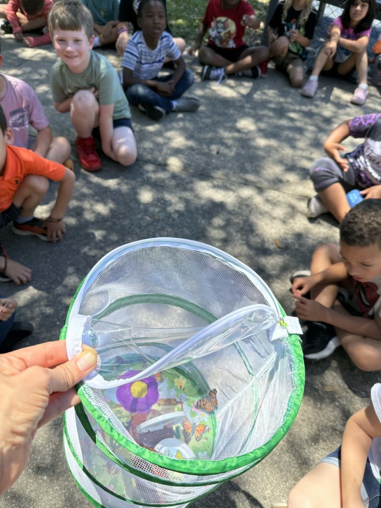 🦋🐛Spring is Here!🐛🦋 We had a fun Butterfly Release this week with 1st grade!