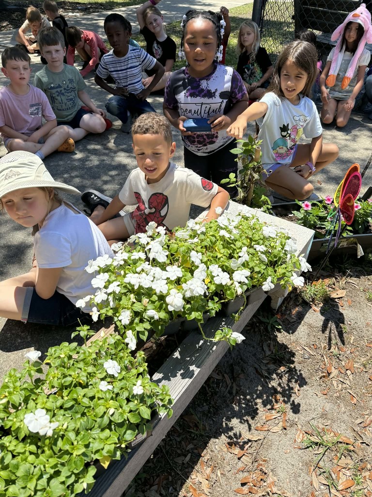 🦋🐛Spring is Here!🐛🦋 We had a fun Butterfly Release this week with 1st grade!