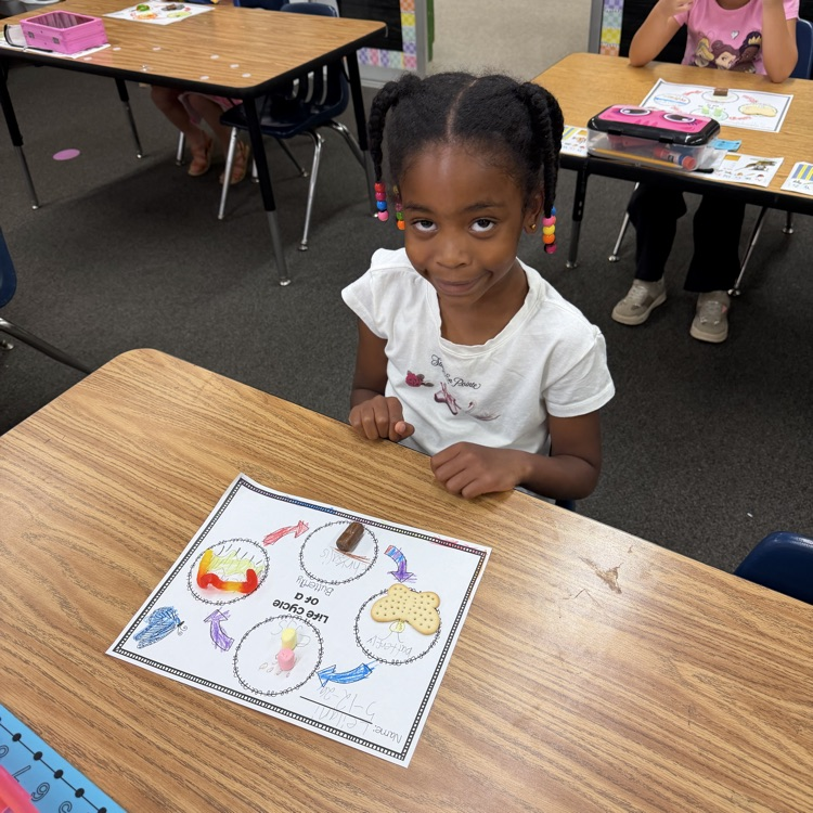 kindergarten 