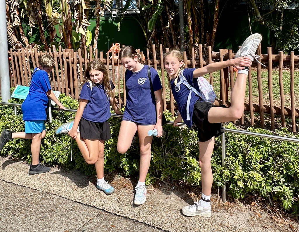 Our Safety Patrols and Manatee Morning News students took a well-deserved field trip to SeaWorld this week!  We want to extend a massive thank you to these dedicated individuals. Because of their hard work and commitment, our school stays safe, protected, and well-informed every single morning. We are so proud of the leadership they show daily, and we're thrilled they had such a fun day celebrating their hard work!