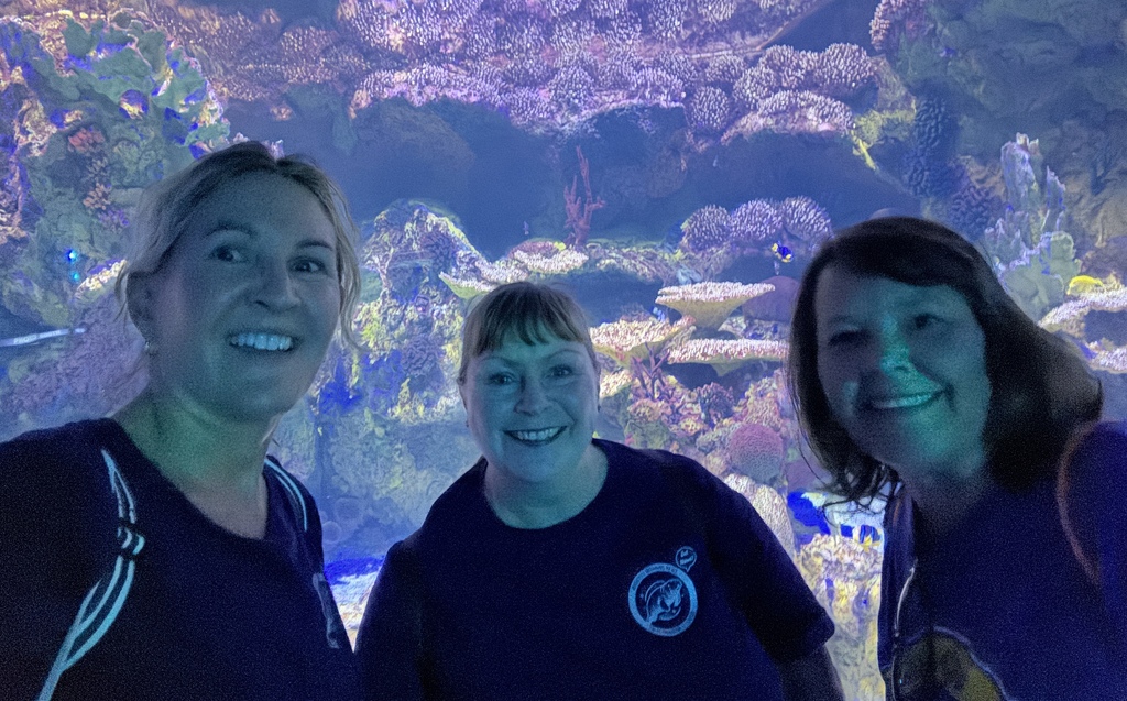 Our Safety Patrols and Manatee Morning News students took a well-deserved field trip to SeaWorld this week!  We want to extend a massive thank you to these dedicated individuals. Because of their hard work and commitment, our school stays safe, protected, and well-informed every single morning. We are so proud of the leadership they show daily, and we're thrilled they had such a fun day celebrating their hard work!