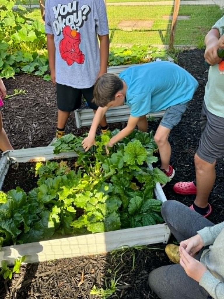 🥒🥗UE Veggie Garden🥗🥒 What a harvest from our UE vegetable garden! They picked some great huge zucchini and lots of lettuce. They gifted the biggest one to Mrs. Dryden as a surprise!