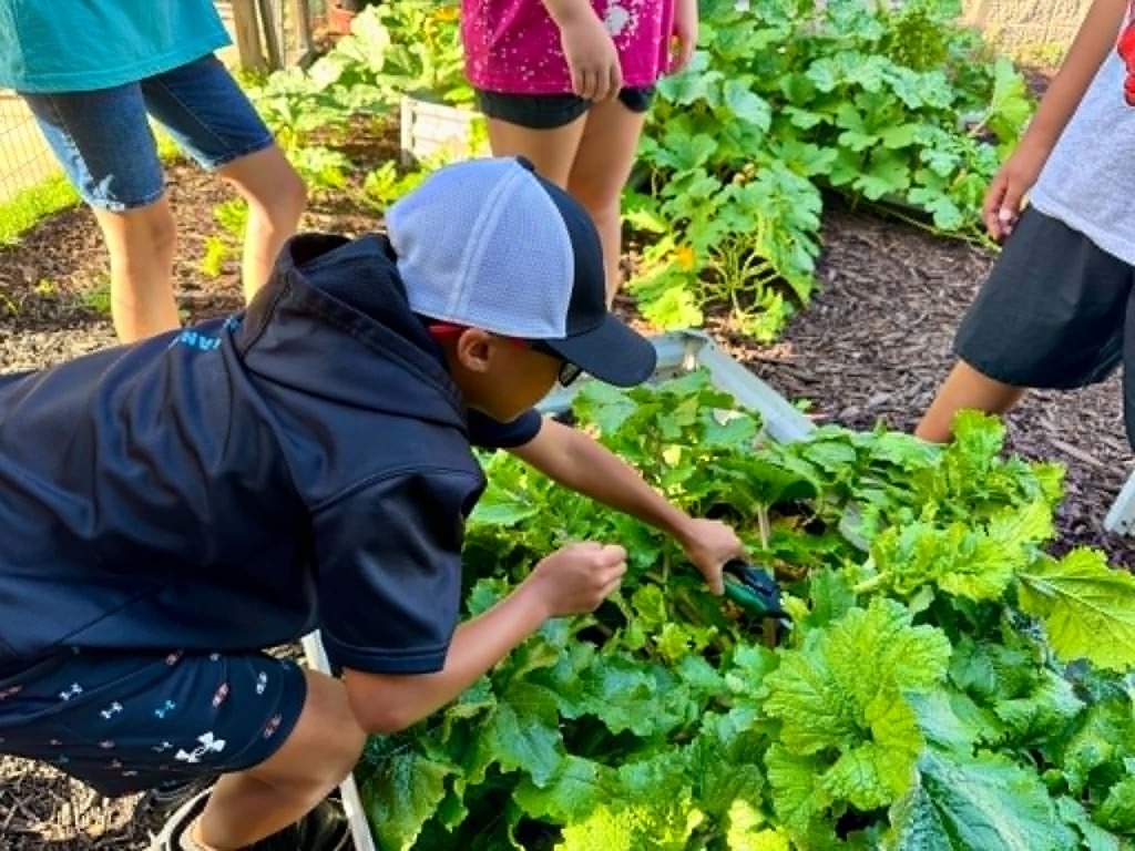 🥒🥗UE Veggie Garden🥗🥒 What a harvest from our UE vegetable garden! They picked some great huge zucchini and lots of lettuce. They gifted the biggest one to Mrs. Dryden as a surprise!