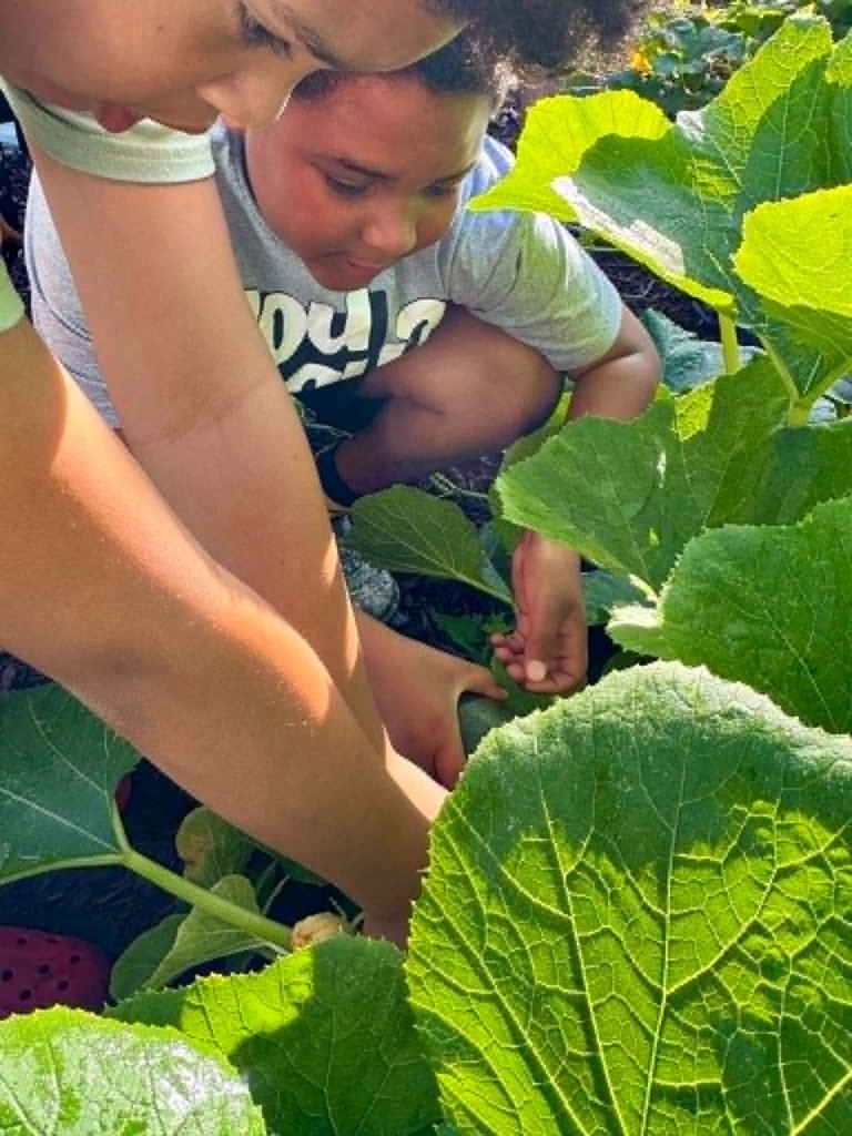🥒🥗UE Veggie Garden🥗🥒 What a harvest from our UE vegetable garden! They picked some great huge zucchini and lots of lettuce. They gifted the biggest one to Mrs. Dryden as a surprise!