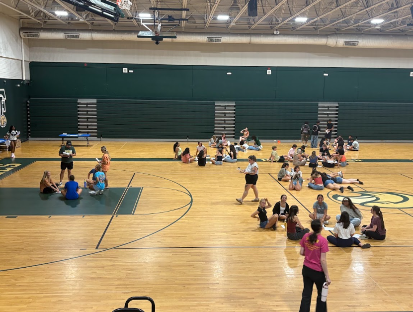 Link Crew