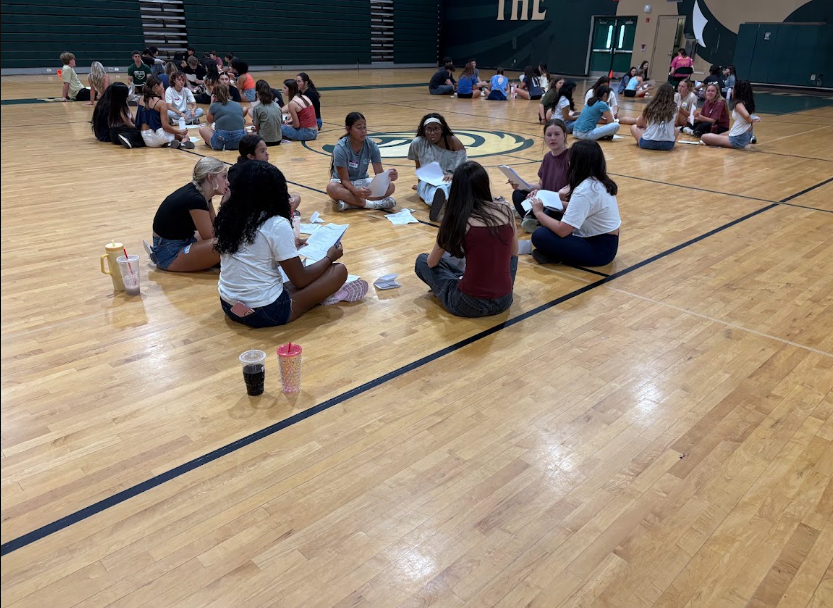 Link Crew